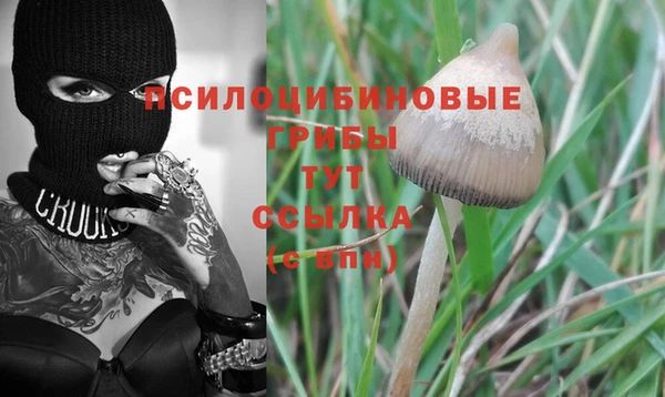 каннабис Алзамай