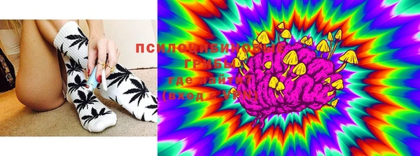 спиды Алексеевка